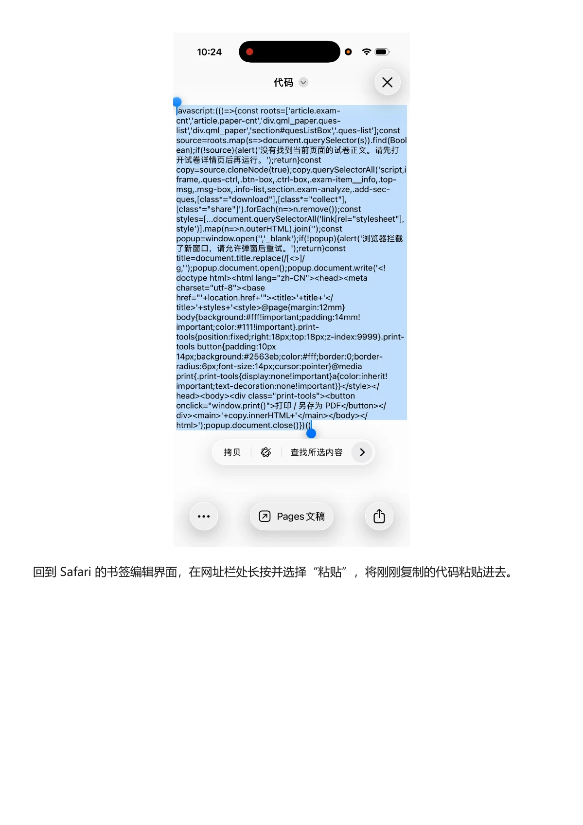 苹果下载教程第 8 页,粘贴书签代码并保存
